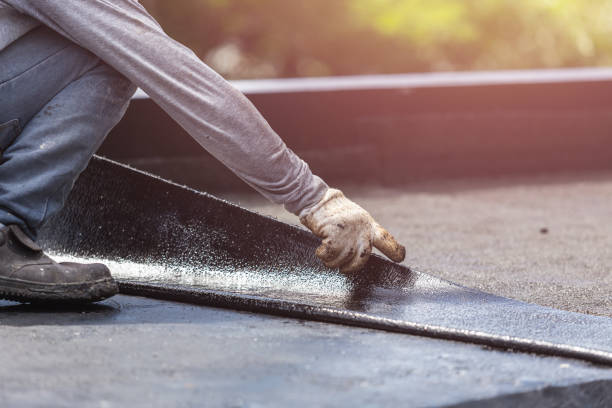 Professional Interior Drainage System technician working in Moxahala, OH